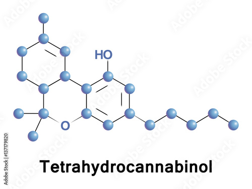 Tetrahydrocannabinol is the principal psychoactive constituent or cannabinoid of cannabis. THC in Cannabis is assumed to be involved in self-defense, perhaps against herbivores