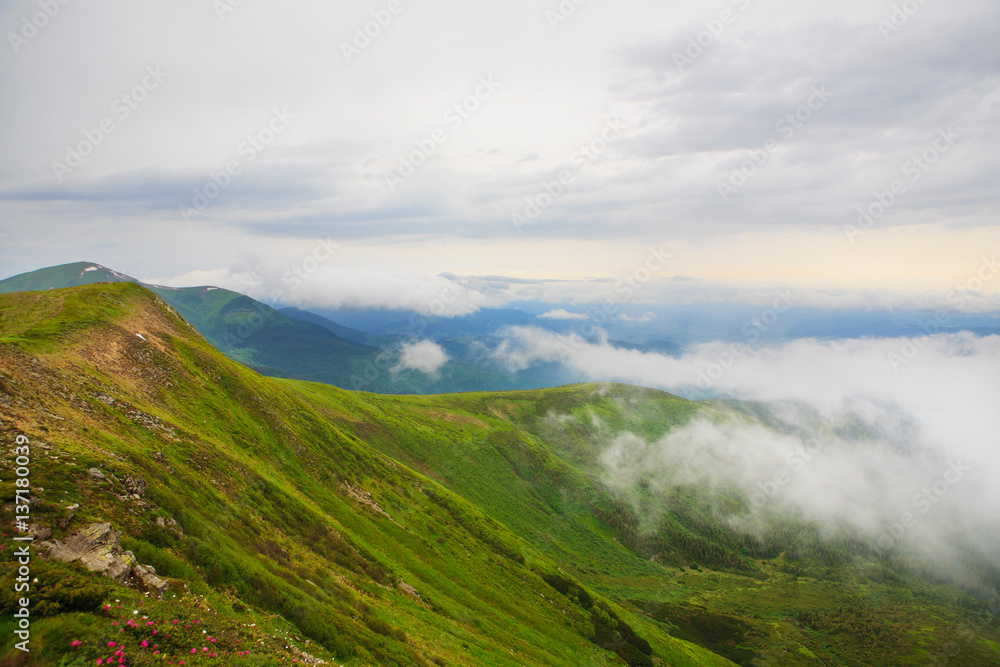 Cloudy morning on Mount Hoverla Karpaty.