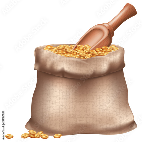 Sack of wheat grain and wooden spoon. Vector illustration. 