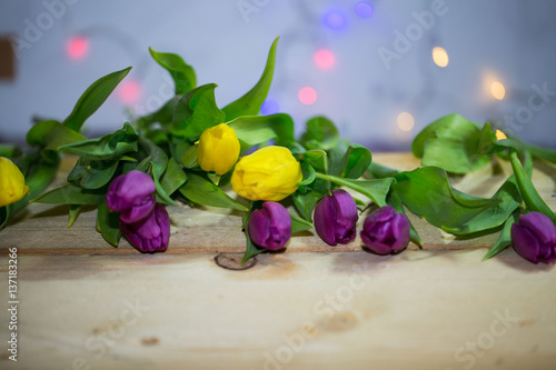 Tulpen, bunte Tulpen auf Holz Hintergrund, Bokeh