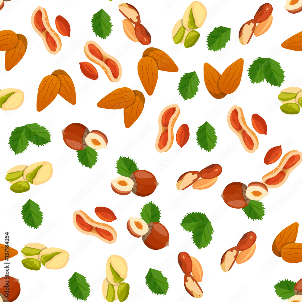 illustration of nuts illustration of nuts