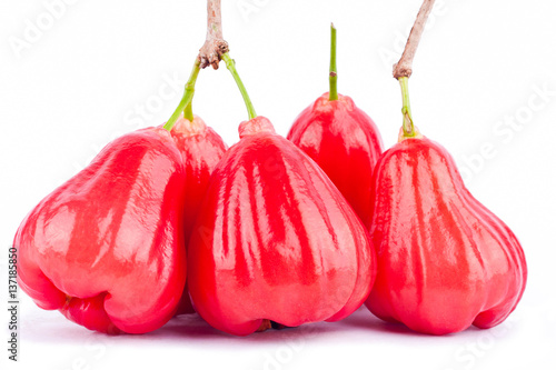 red rose apple or bell fruit on white background healthy rose apple fruit food isolated 