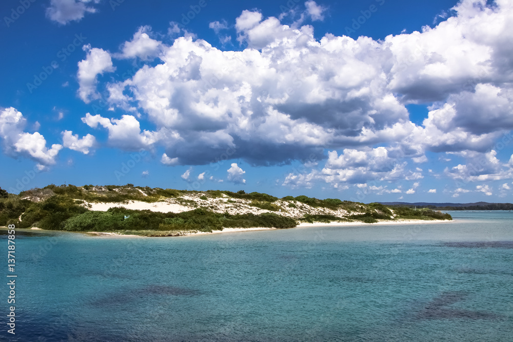 Fototapeta premium Scenic sea shore near Forster, New South Wales, Australia