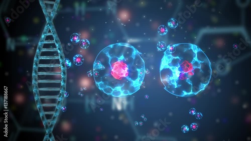 cell division under microscope animation