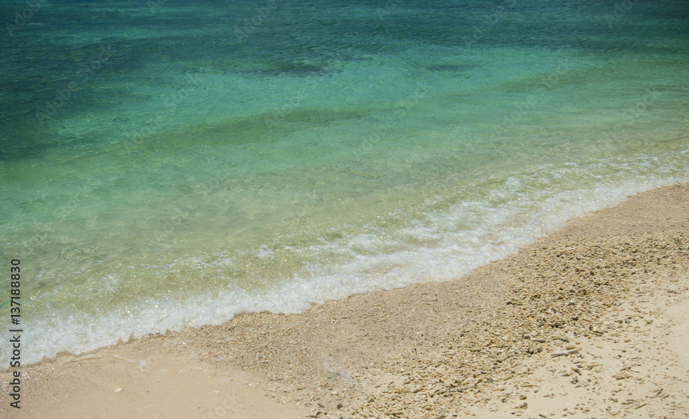 Nice green sea with beach