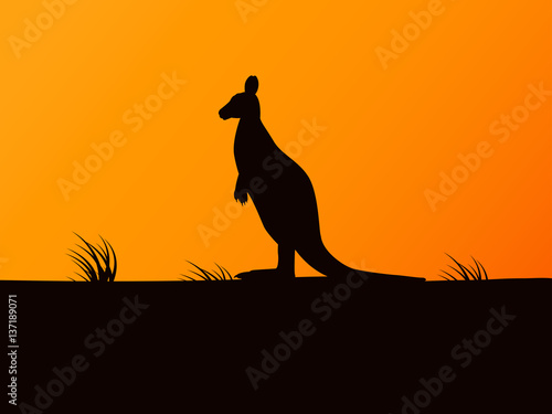 Fototapeta Naklejka Na Ścianę i Meble -  Vector silhouette kangaroo on background sunset