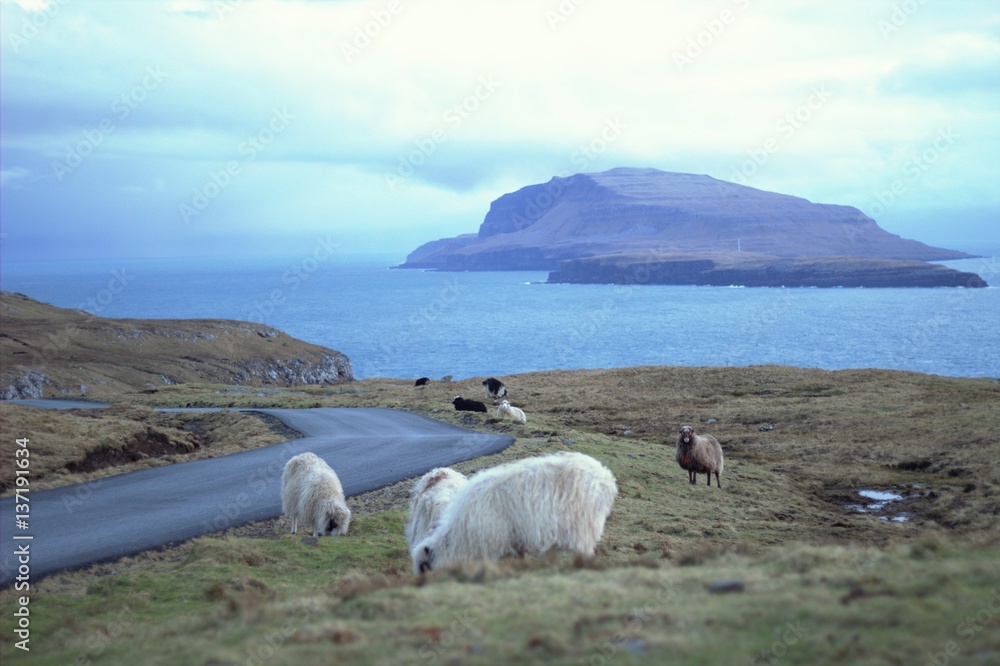 Obraz premium The nature of the Faore Islands in the north Atlantic 