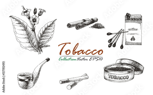 Tobacco collection vintage drawing