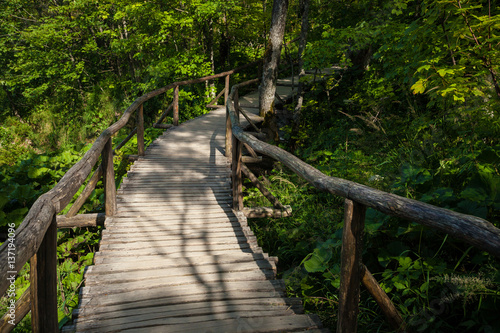 Wooden Walkway in Plitvice Lake National Park, Croatia