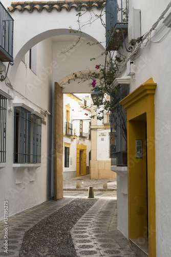 Cordoba  Andalucia  Spain   street