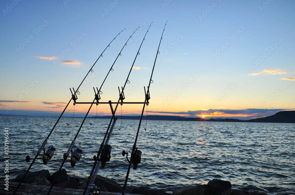 fishing carp sunset, silhouette fishing equipment