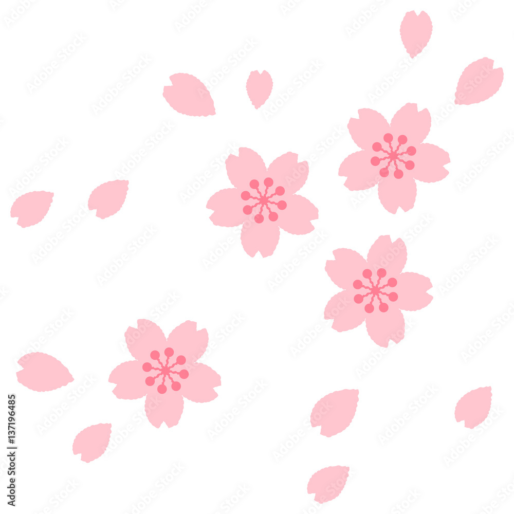 cherry blossoms cherry blossoms