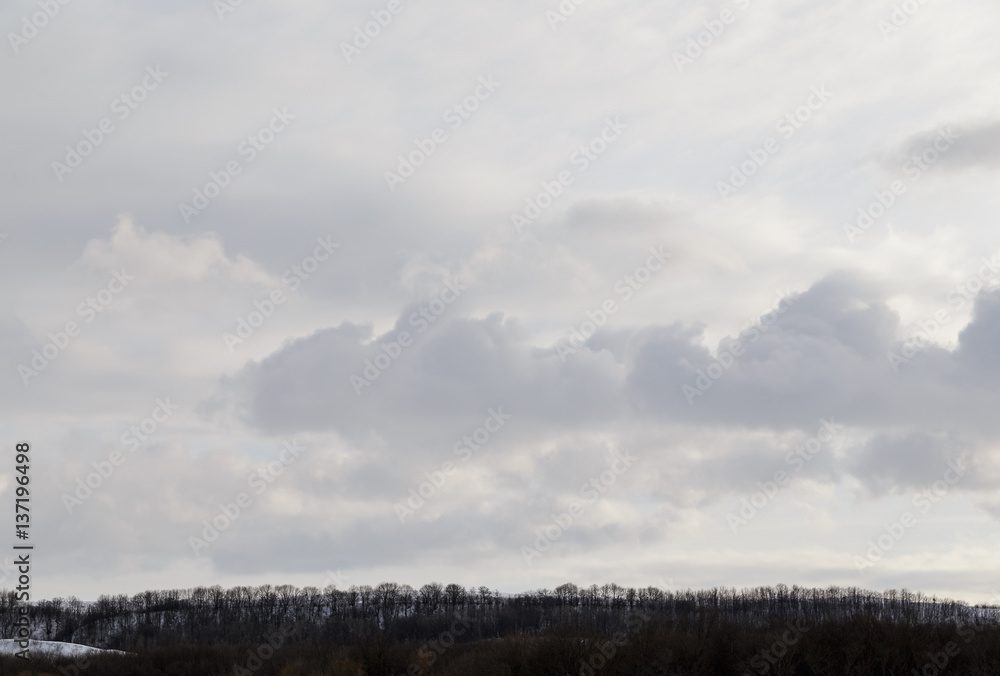 The spring sky above the trees. The spring sky above the trees.