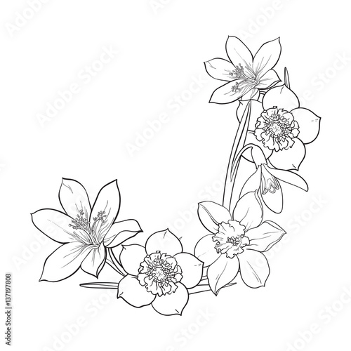 Half frame of spring flowers, decoration element, sketch vector illustration isolated on white background. Hand drawn realistic early spring flowers as half round frame, banner, label design