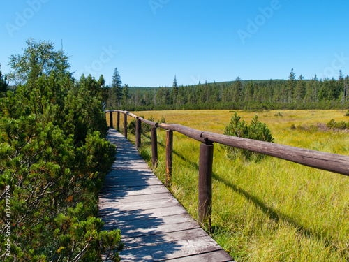 Peat bog with wooden path near Jizerka village in Jizera Mountains, Northern Bohemia, Czech Republic, Europe. © pyty