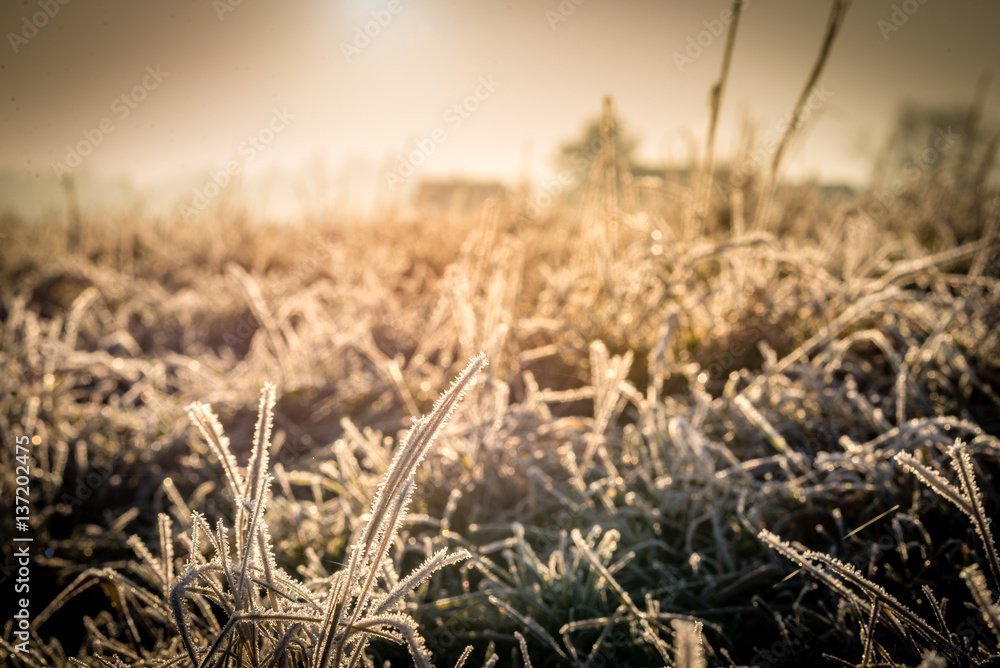 Fototapeta premium Wintermorgen über dem Schweizer Flachland