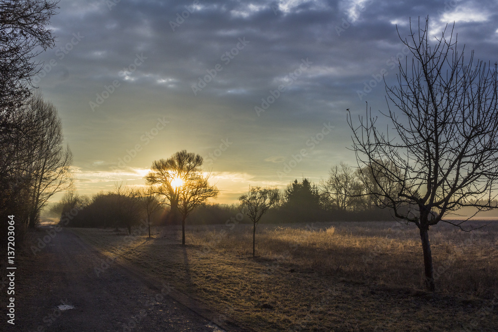 Fototapeta premium Sonnenaufgang