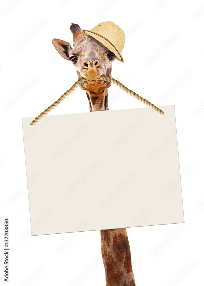 Fototapeta premium Funny Safari Giraffe Carrying Blank Sign