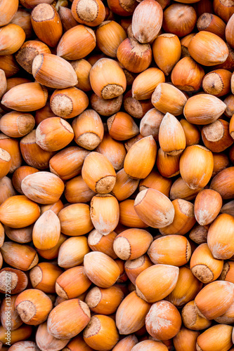 Nuts. nuts background pattern. Texture