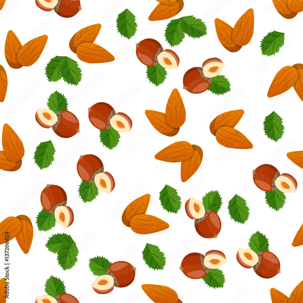 illustration of nuts illustration of nuts