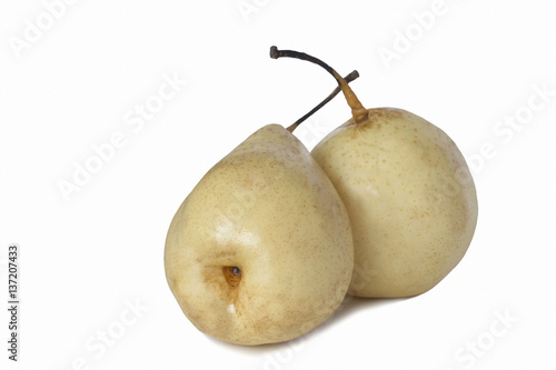 Two ripe white Chinese pear close