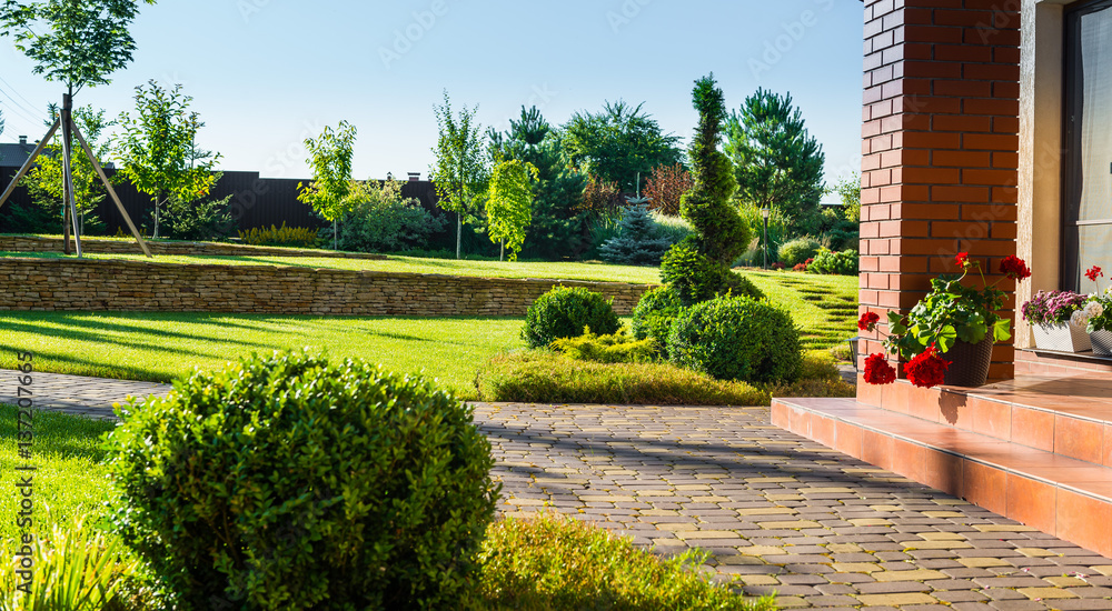 Fototapeta premium beautiful landscaping with beautiful plants