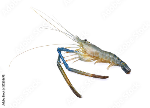raw prawns shrimps isolated on white background