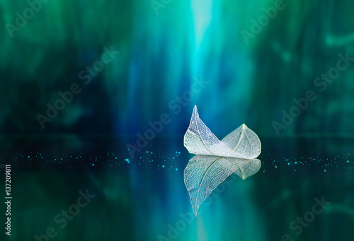White transparent leaf on mirror surface with reflection on green background macro. Abstract artistic image of ship in waters of lake. Template Border natural dreamy artistic image for traveling.