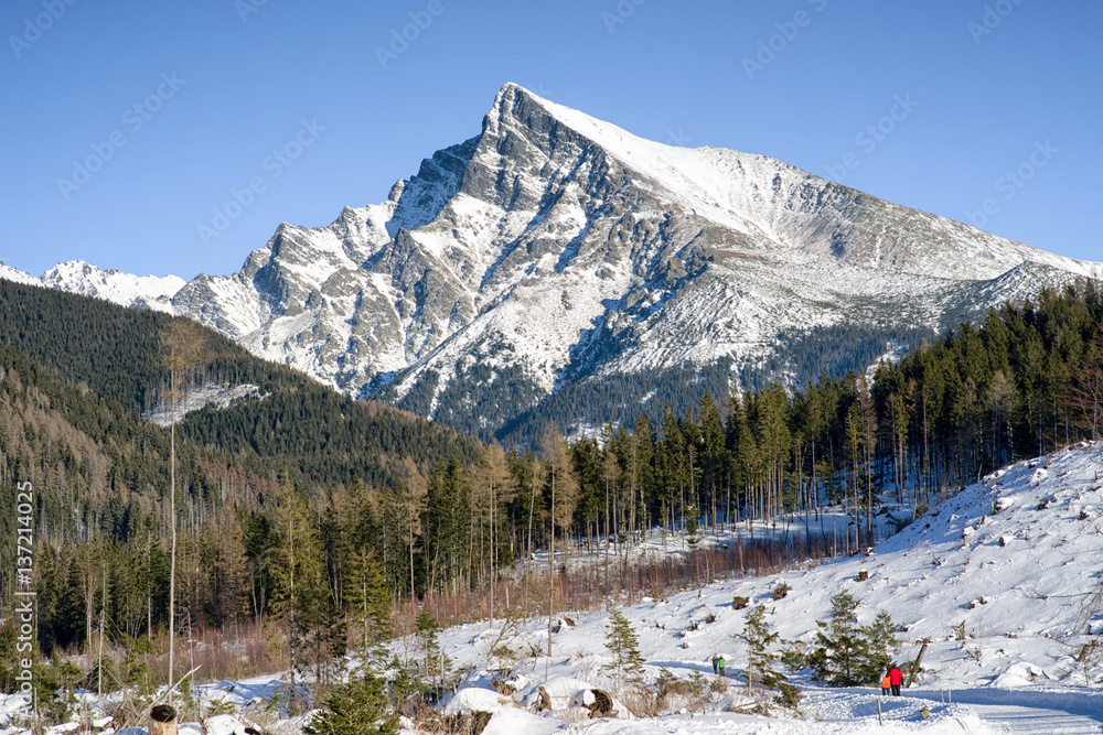 Fototapeta premium Peak Krivan in High Tatras, Slovakia