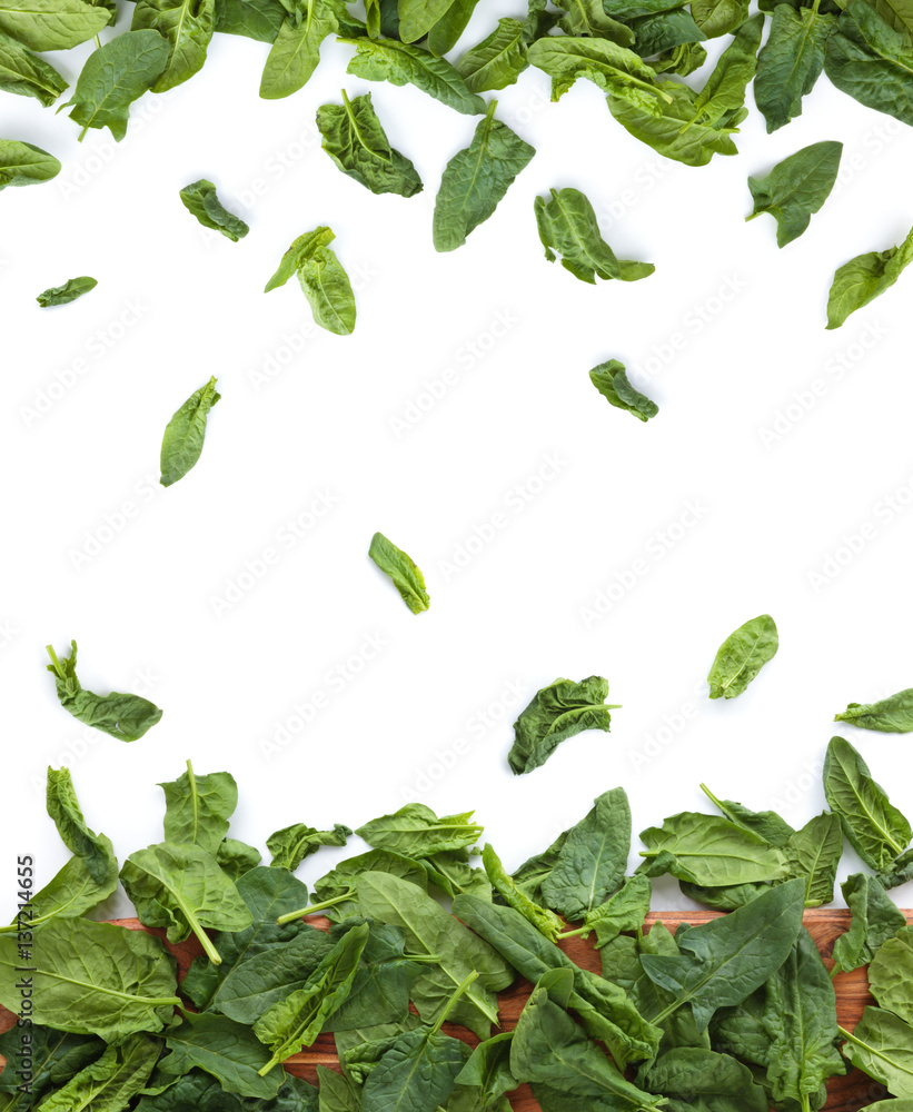 Fresh spinach leaves. Fresh spinach leaves.