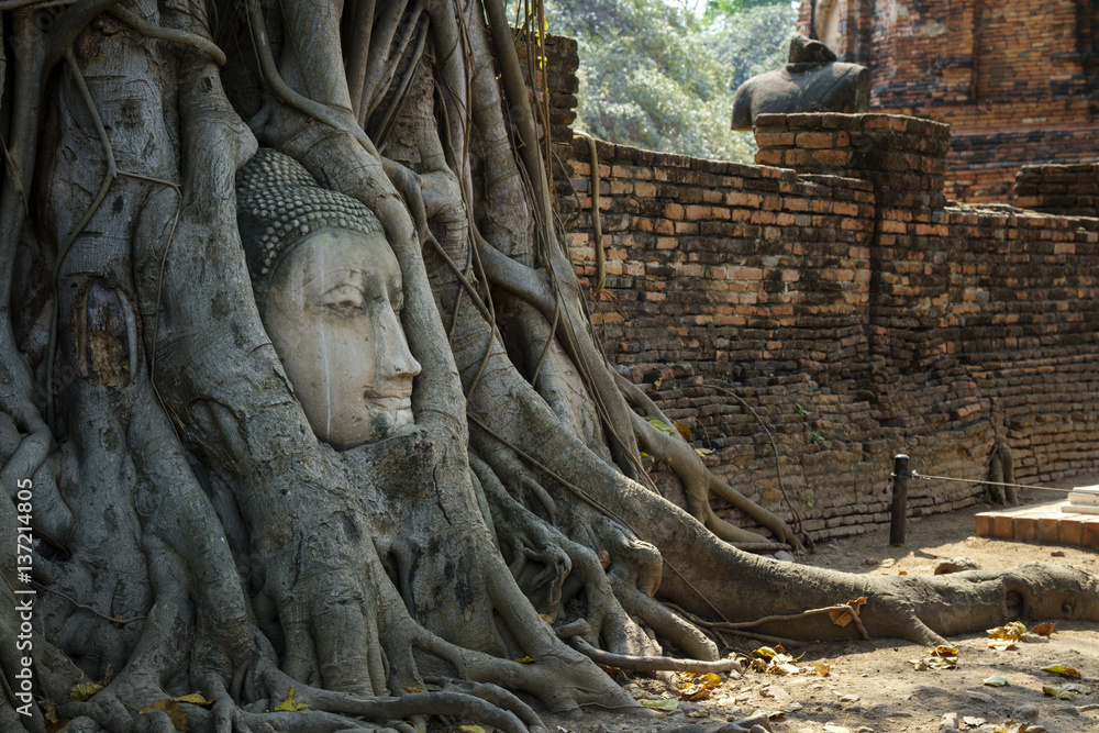 head of buddha in root of tree