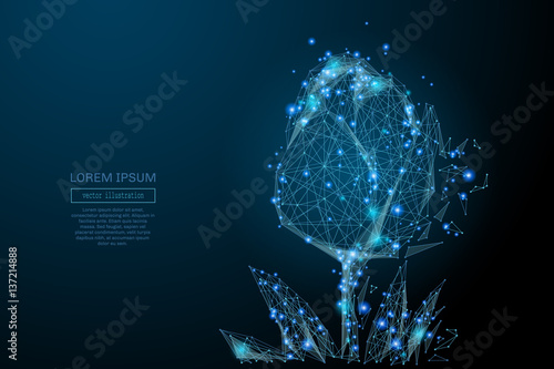 Abstract image of a tulip in the form of a starry sky or space, consisting of points, lines, and shapes in the form of planets, stars and the universe. Vector business