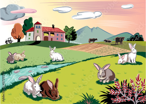 Rabbits in a meadow near a stream.