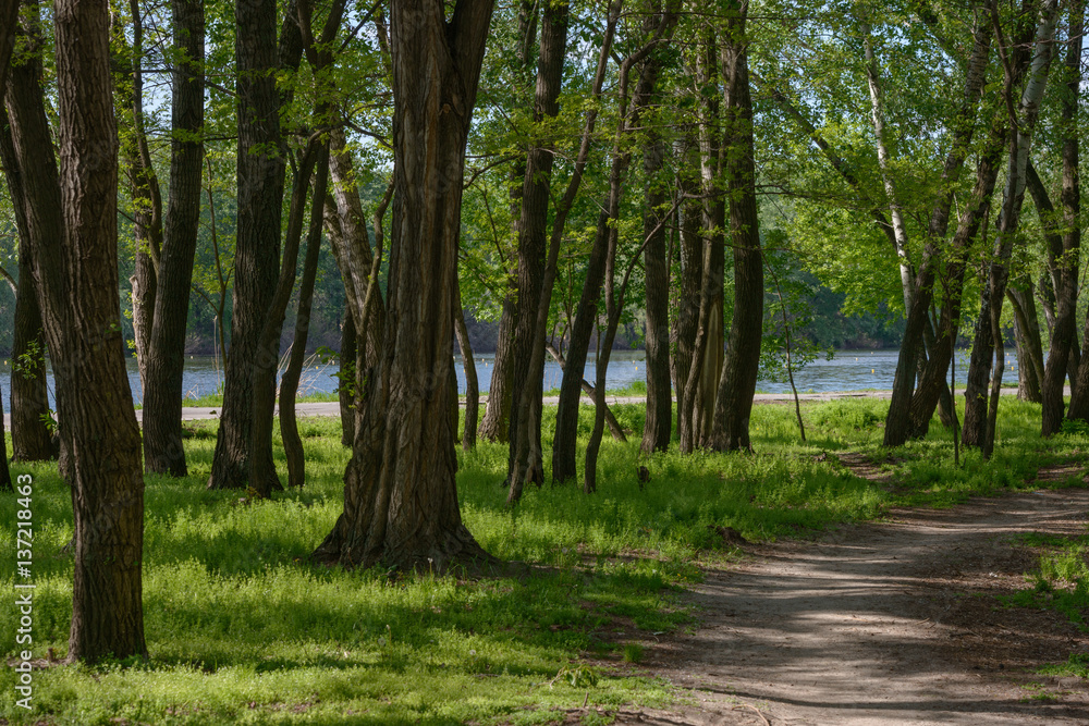 Pathway in the shade of park trees along rowing canal. Pathway in the shade of park trees along rowing canal.