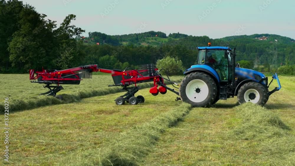 A blue tractor is driving through a few separate lines of hay. We can see that the hay has been organized into lines.
A blue tractor is driving through a few separate lines of hay. We can see that the hay has been organized into lines.