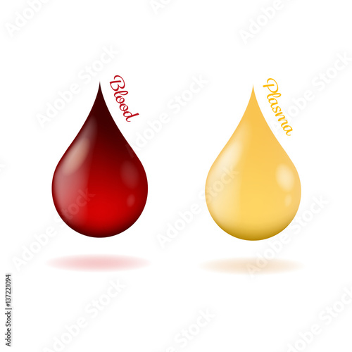 Vector illustration of drops of blood and drops of blood plasma