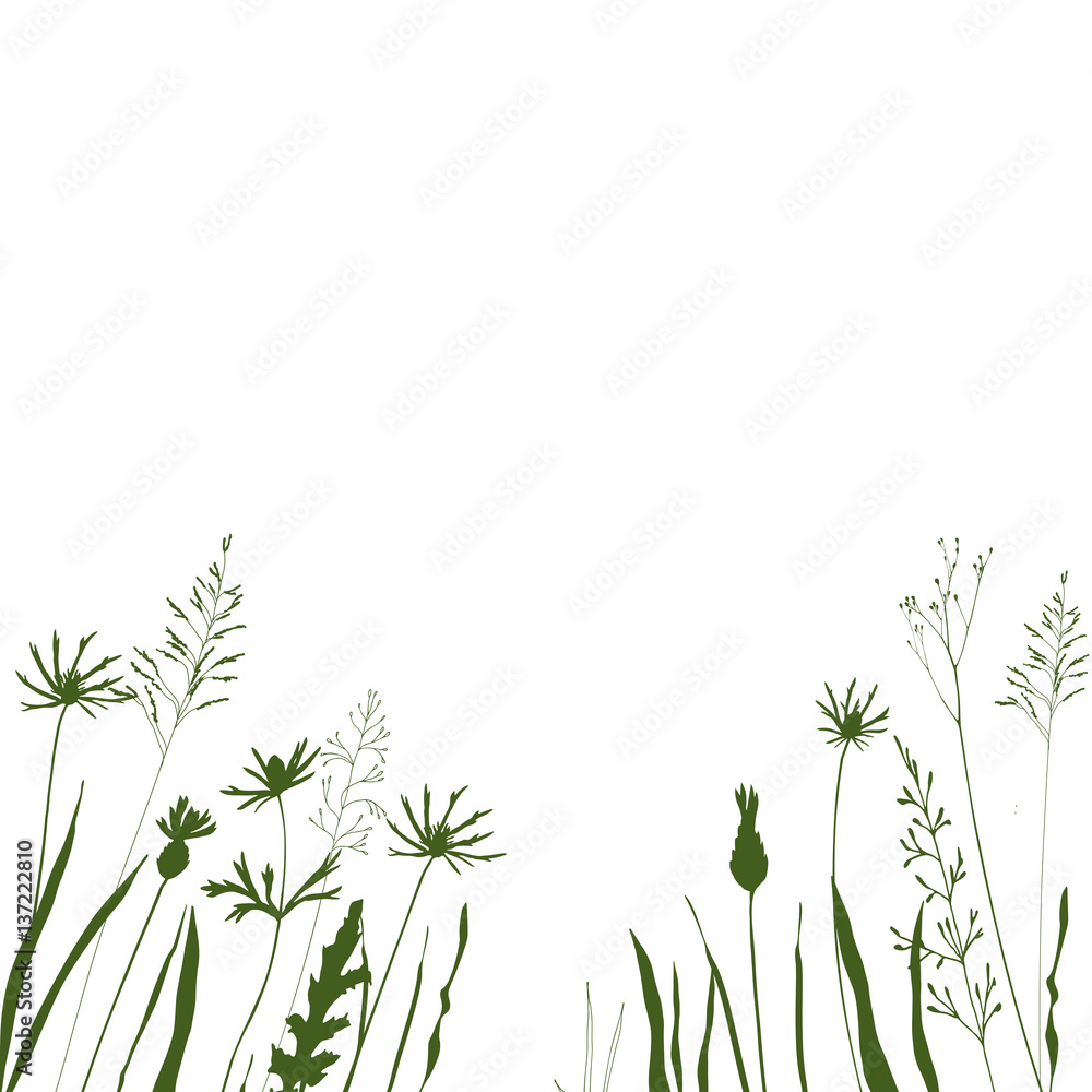 Vector background with wild meadow flowers, herbs and grasses. Vector background with wild meadow flowers, herbs and grasses.