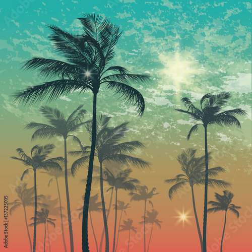 Exotic tropical palm trees at sunset or sunrise. Vector illustration