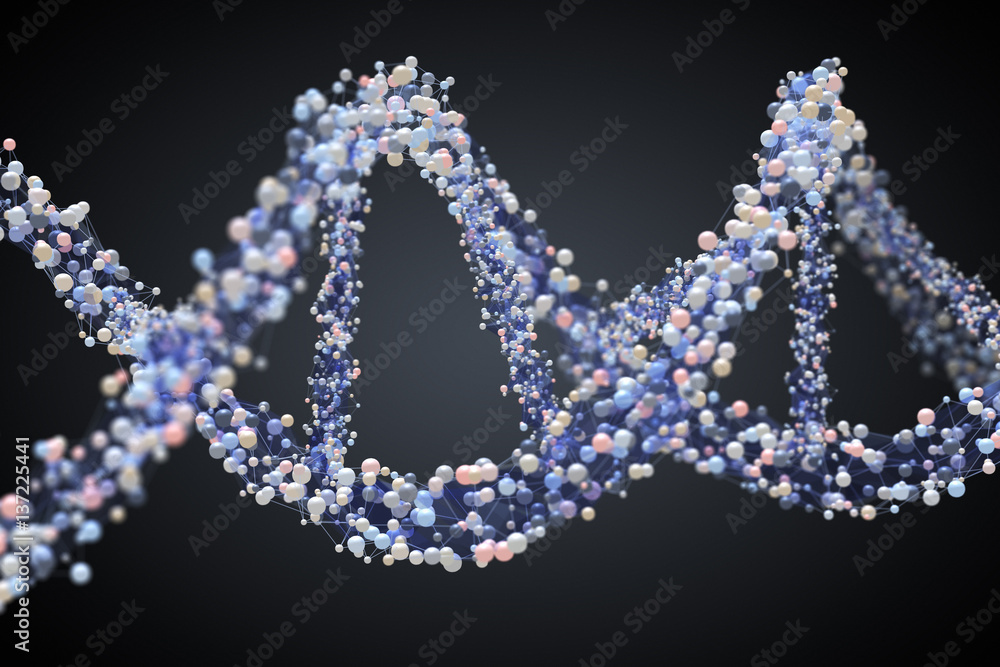 Spiral strand of DNA