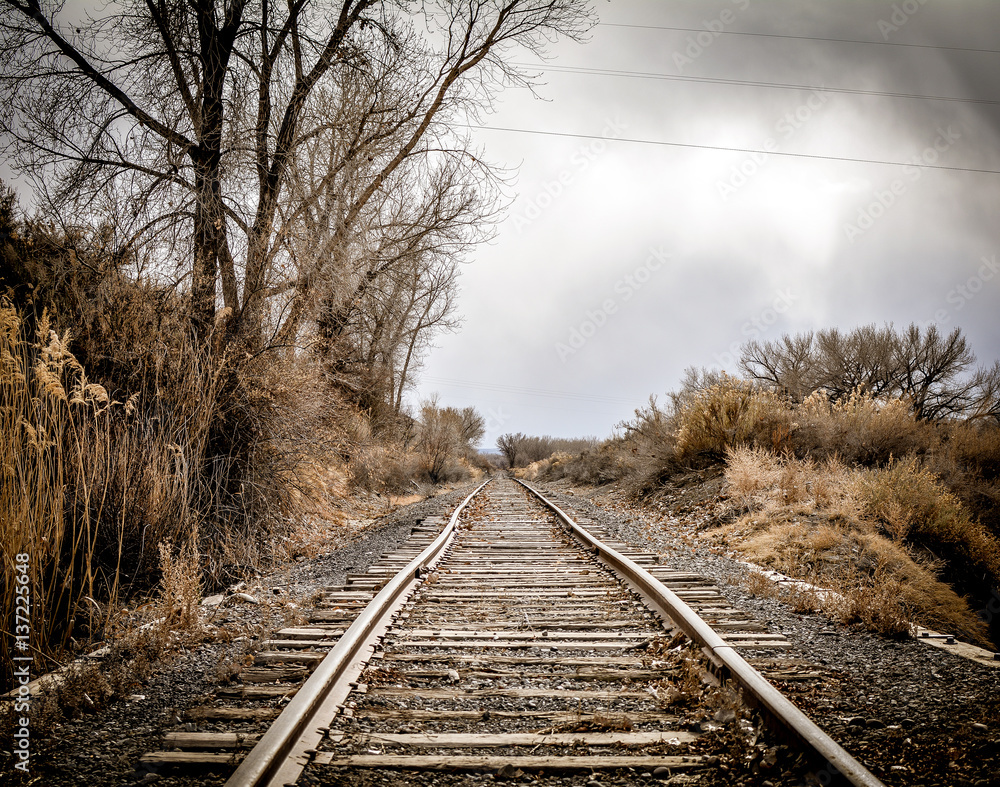 Fototapeta premium Rail Road Tracks