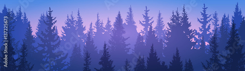 Pine Forest Landscape Mountain Sky Woods Flat Vector Illustration