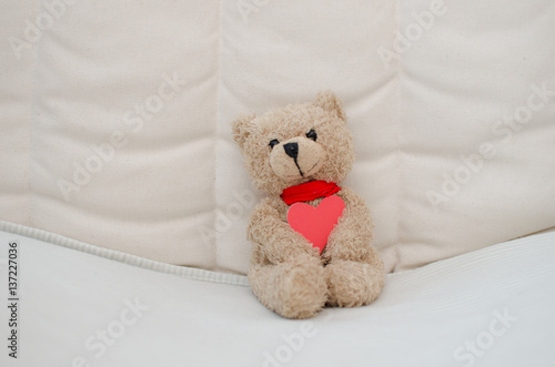 Teddy bear with heart