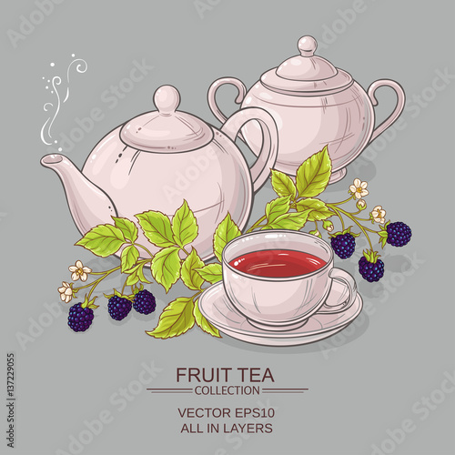 blackberry tea vector illustration