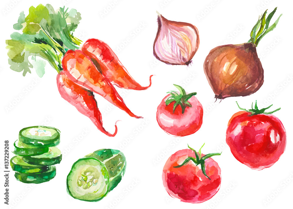Watercolor vegetables isolated on white Watercolor vegetables isolated on white