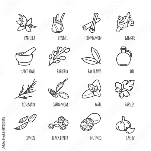 Spices and seasonings thin line web icons
