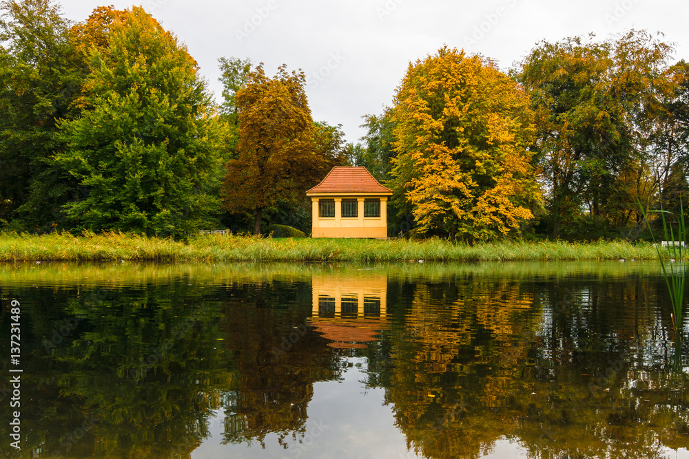 City pond in the autumn park.