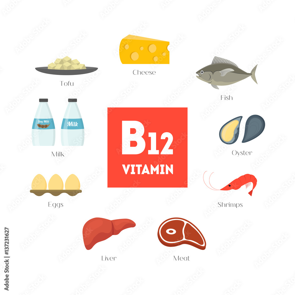 Cartoon Food with Vitamin B12 Infographics. Vector
