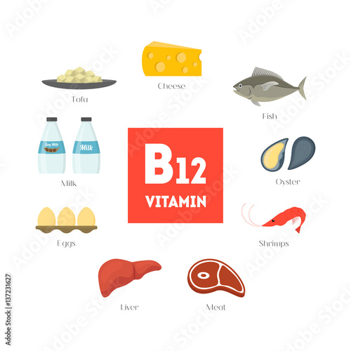 Cartoon Food with Vitamin B12 Infographics. Vector