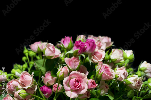 pink roses on the black background © Grandiflora