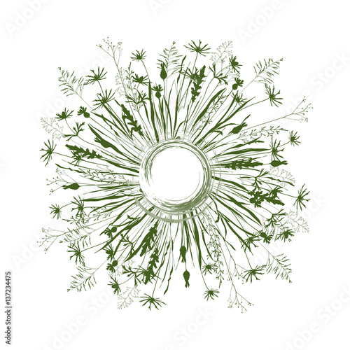 Vector circle background with wild meadow flowers, herbs and grasses.